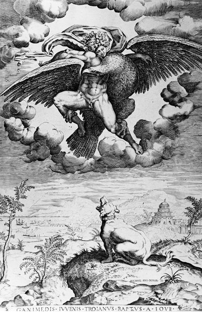 Il rapimento di Ganimede da Michelangelo Buonarroti